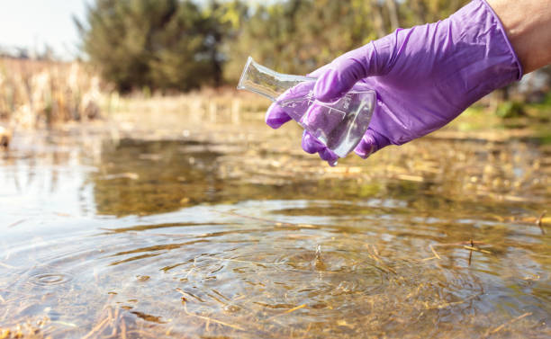Dangerous lake water bacteries