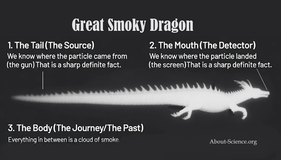 Illustration titled 'Great Smoky Dragon' depicting a dragon-shaped silhouette made of smoke, with labels explaining quantum particle behavior: 1. The Tail (The Source) - known origin from the gun; 2. The Mouth (The Detector) - known landing on the screen; 3. The Body (The Journey/The Past) - uncertain path in between as a cloud of smoke. From About-Science.org.