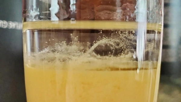 Success - DNA from bananas is extracted