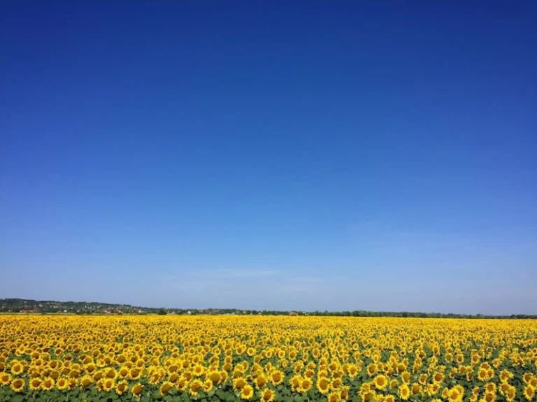 Why the sky is blue